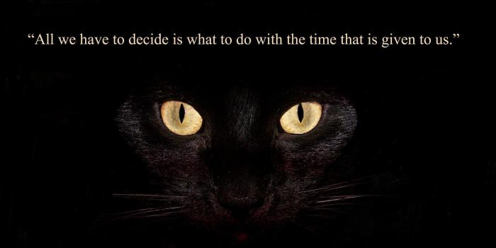 2781x1967 Strong wise wisdom quotes & images wallpapers 2018 HD