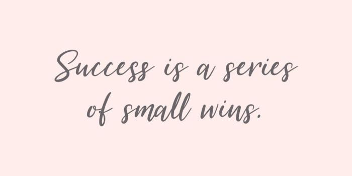 1080x1920 Success is a series of small wins pink and gray quote wallpaper you