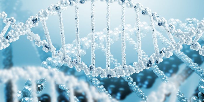 2560x1600 DNA wallpaper : Find best latest DNA wallpaper in HD for your PC