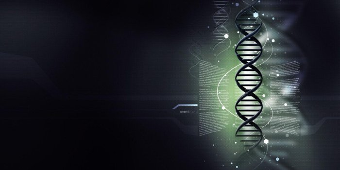 1440x900 DNA Wallpapers