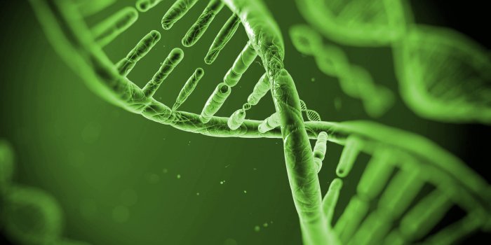 3840x2160 4K DNA Wallpapers - Album on Imgur