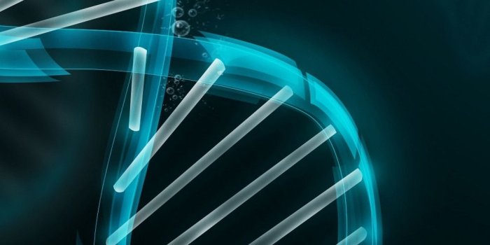 1080x1920 3D DNA illustration - Best htc one wallpapers