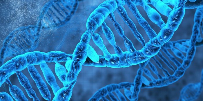 1920x1080 67+ Hd Dna Wallpapers on WallpaperPlay