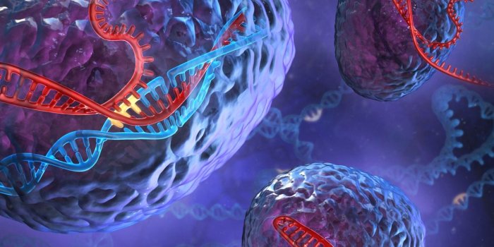 1280x1280 Download wallpaper 1280x1280 dna, genetics, spirals, cells ipad