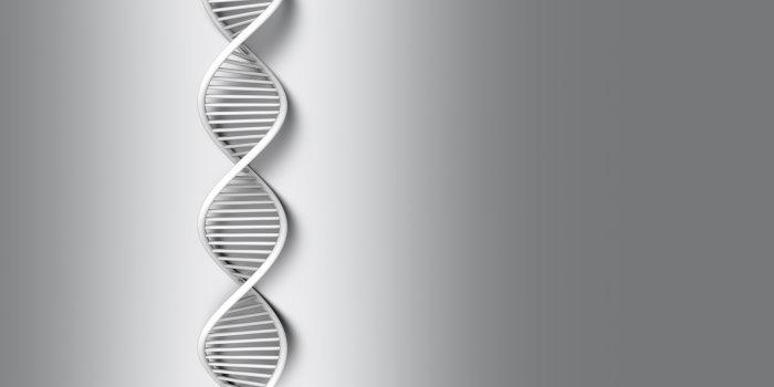 6000x4000 dna, 3 d, Structure, Molecule, Pattern, Abstraction, Genetic