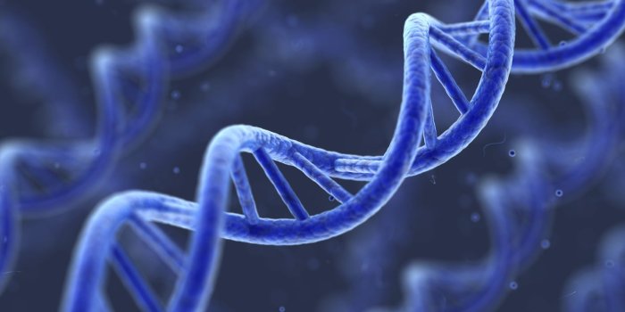 1600x1200 5 Excellent HD Genetic DNA Wallpapers