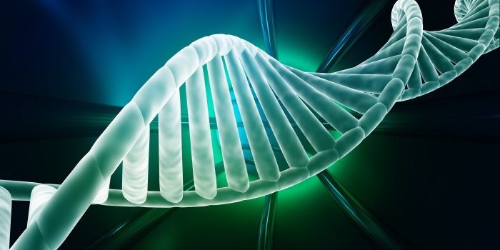 5500x4125 1244724 widescreen wallpaper dna structure | Artistic | Tokkoro.com