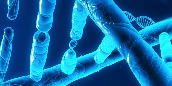 1332x850 Wallpaper blue, render, dna images for desktop, section макро - download