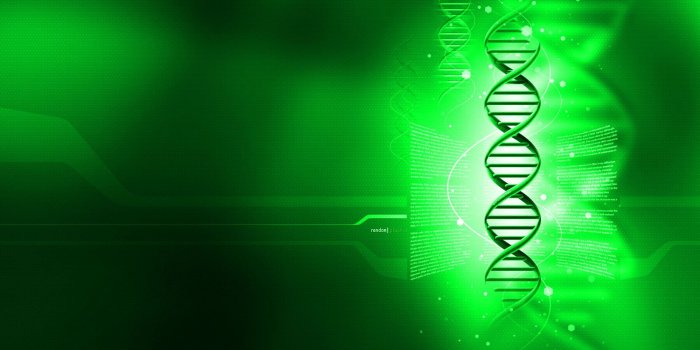 1920x1080 Dna Wallpapers High Definition | Biology, Cell biology, Branches of science