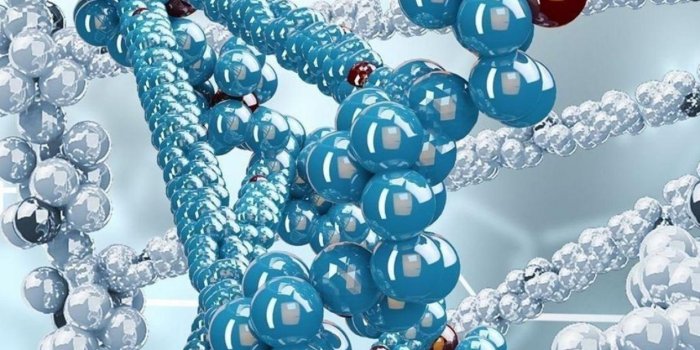 1242x2688 DNA Strand 3D Desktop HD Wallpaper