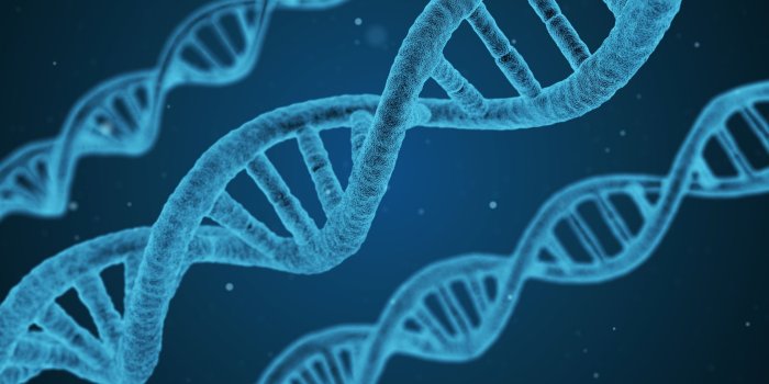 2560x1440 Dna wallpaper high resolution Gallery