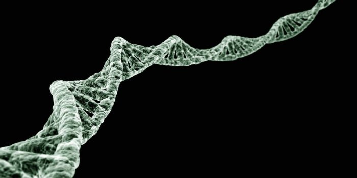 1600x1200 Dna Wallpaper | 1600x1200 | ID:15911