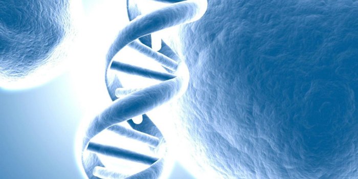 1920x1200 DNA Structure Wallpaper #6972887