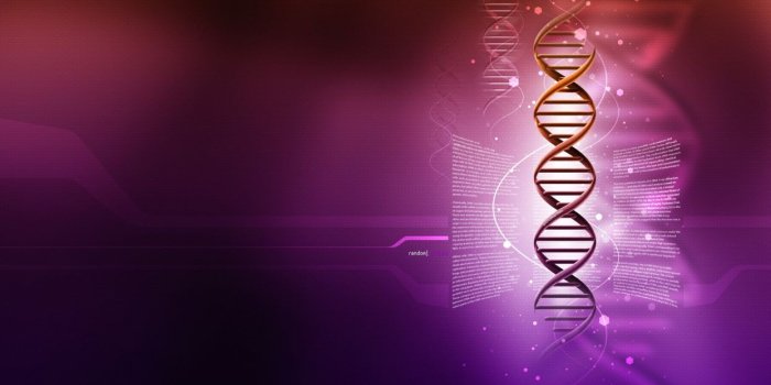 1244x700 DNA 3-d structure molecule pattern abstraction genetic psychedelic