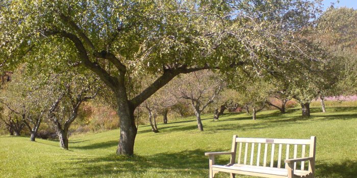 1920x1440 Kripalu Orchard - Autumn Wallpaper (393110) - Fanpop