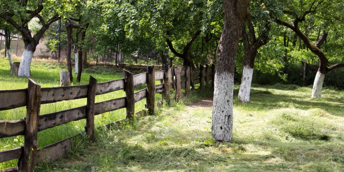 3840x2160 Wooden fence in the orchard wallpaper - Nature wallpapers - #48048
