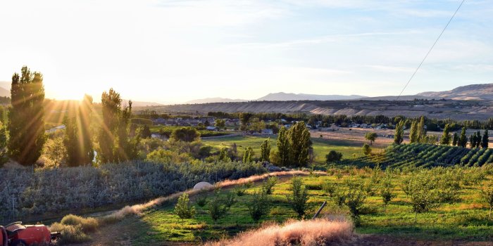 3600x2400 The View From My Family Orchard in Malaga Washington HD wallpaper