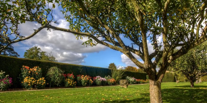 1600x1200 Autumn Orchard Hardwick Hall Fall Trees Wallpaper - 1600x1200 pixels