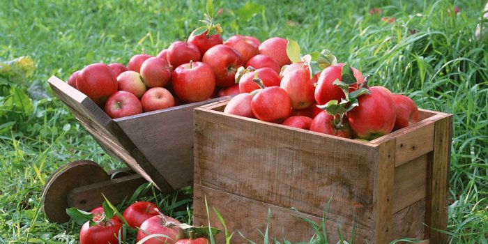 1280x800 Harvest Backgrounds | harvest high quality pictures harvest