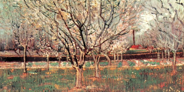 1332x850 Wallpaper trees, flowers, Vincent van Gogh, Plum Trees, Orchard in