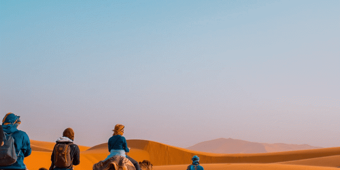 1080x1920 Morocco | Travel ✈ in 2019 | Landscape wallpaper, Morocco, Iphone