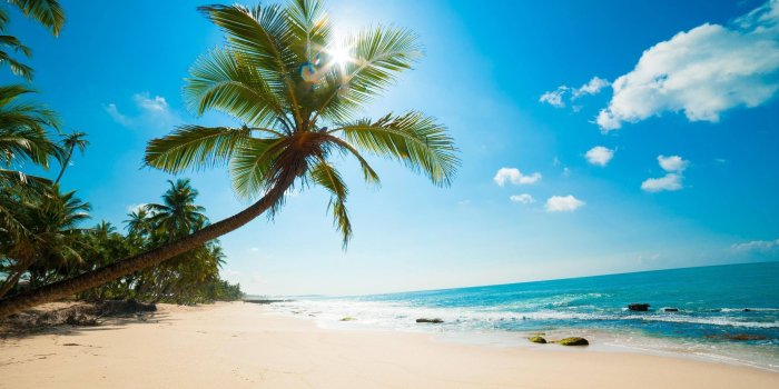 2880x1800 68+ Caribbean Beach Wallpapers on WallpaperPlay