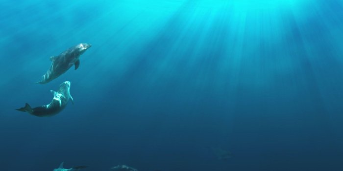 1920x1200 Under Water Wallpapers