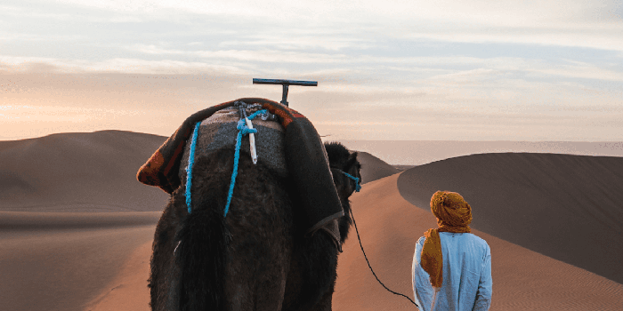 1242x2688 Morocco Wallpaper for iPhone X, 8, 7, 6 - Free Download on 3Wallpapers