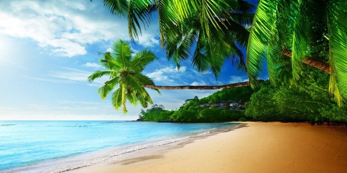 1920x1080 68+ Caribbean Beach Wallpapers on WallpaperPlay