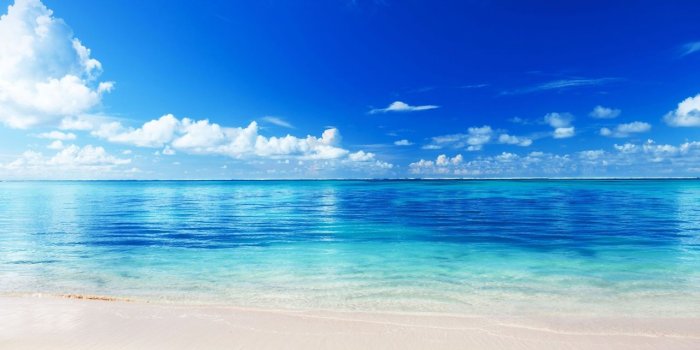1280x802 71+] Free Caribbean Beach Wallpaper on WallpaperSafari