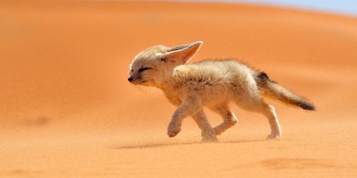 1280x720 Free Morocco Wallpaper HD Full HD Download High Definiton Wallpapers