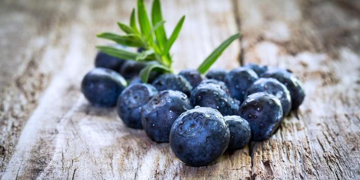 1920x1080 Blueberry HD Wallpapers | 7wallpapers.net