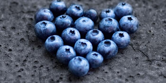 1680x1050 Blueberry wallpaper | 1680x1050 | #66837