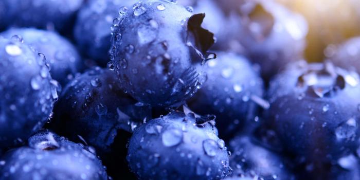 2880x1800 Blueberries HD | wallpapers | Ultra hd 4k wallpaper, 4k wallpaper