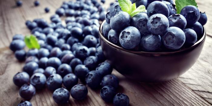 3840x2560 2712967 3840x2560 blueberry 4k wallpaper photo download free | Food