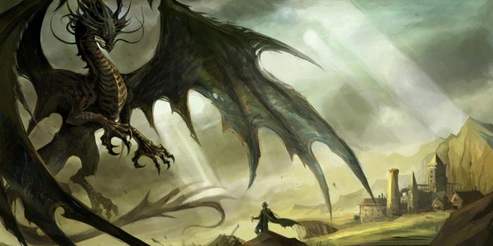 1920x1080 Hd Wallpaper 1920x1080 Dragon Fantasy - dragon wallpaper | Dragons