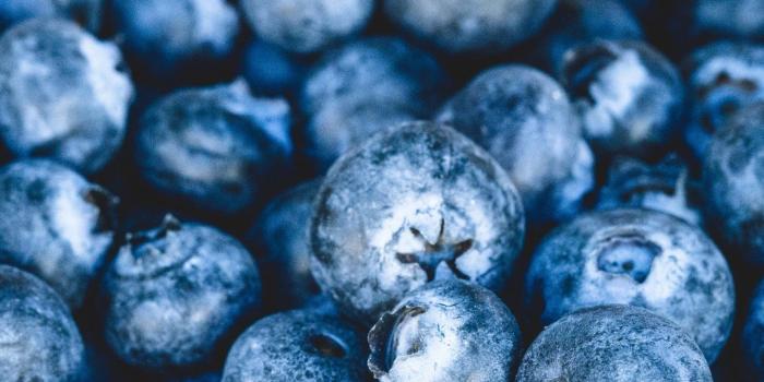 1440x2560 Fresh Blueberries Wallpaper - iPhone, Android & Desktop Backgrounds