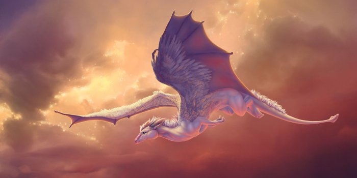 1920x1200 16 Cute Dragon Wallpapers - WallpaperBoat