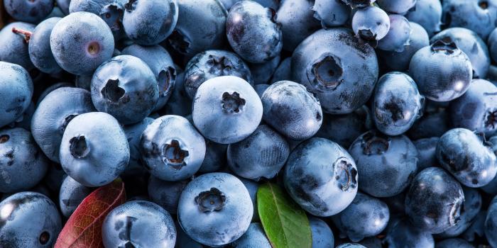 7777x6133 103 Blueberry HD Wallpapers | Background Images