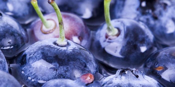 1920x1080 Blueberry Wallpaper for Android - APK Download