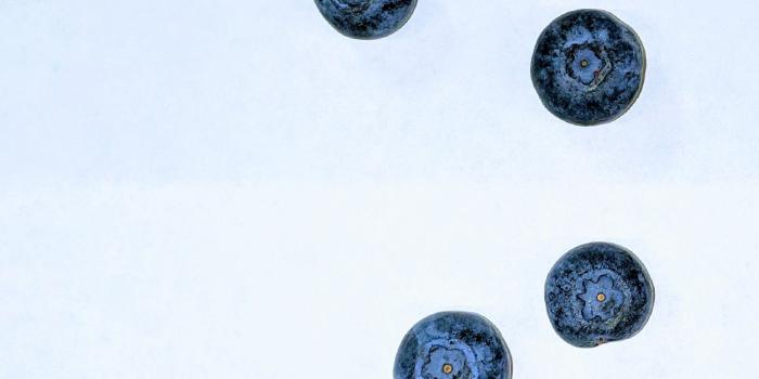 1955x4127 Updated Blueberry wallpaper for s10 : S10wallpapers