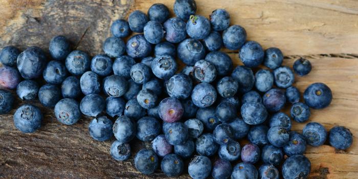 6000x3686 Blueberry fruits HD wallpaper | Wallpaper Flare