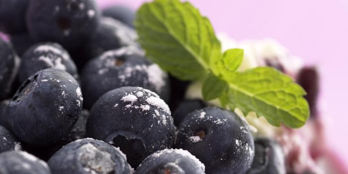 1920x1200 Blueberry Wallpaper | 1920x1200 | ID:42495