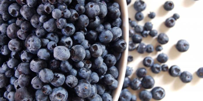 1680x1050 Blueberry Wallpaper #6888509