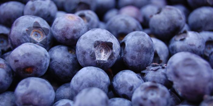 3008x2000 Blueberry Wallpaper 9 - 3008 X 2000