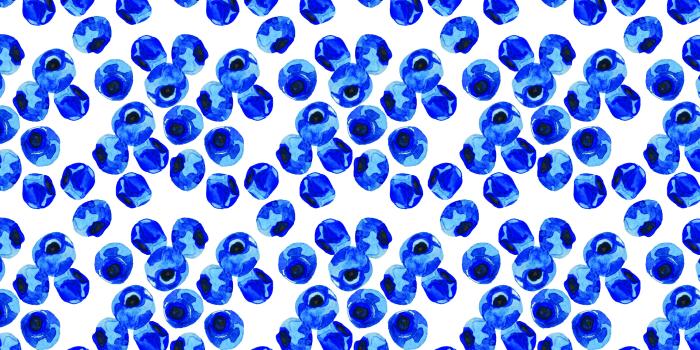 4500x3000 Blueberry print free desktop wallpaper! | Greetabl | IPHONE