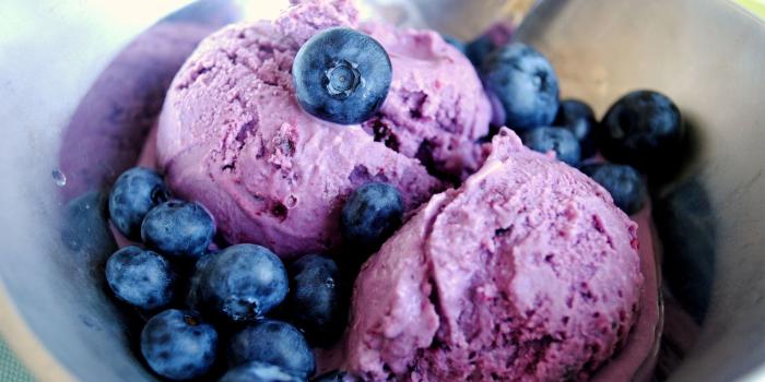 1920x1200 Blueberry Icecream Wallpaper 20402 1920x1200px