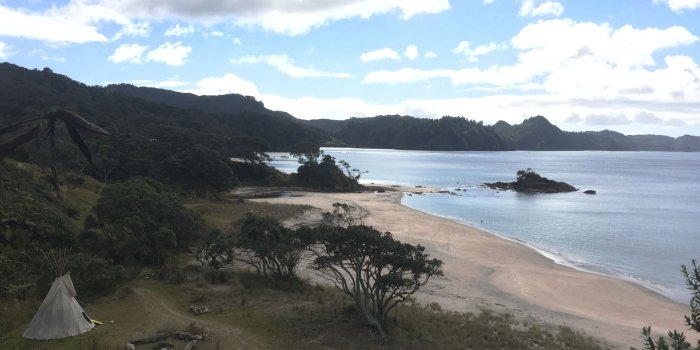 1920x1440 Spat farm on untouched Coromandel coast could endanger orca, say