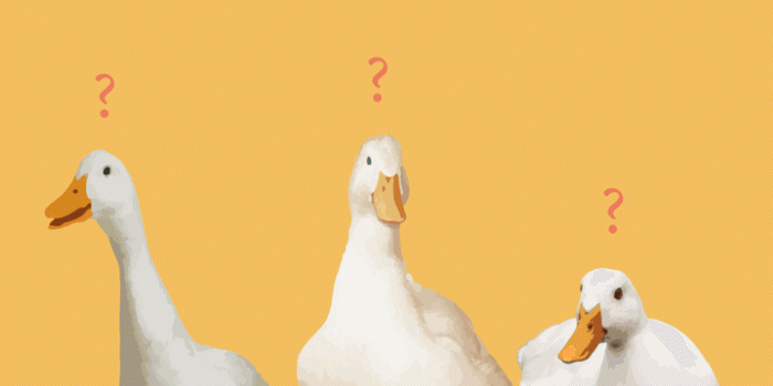 719x1280 Cool Beans — I made part 2 of the iconic vine wallpapers!...