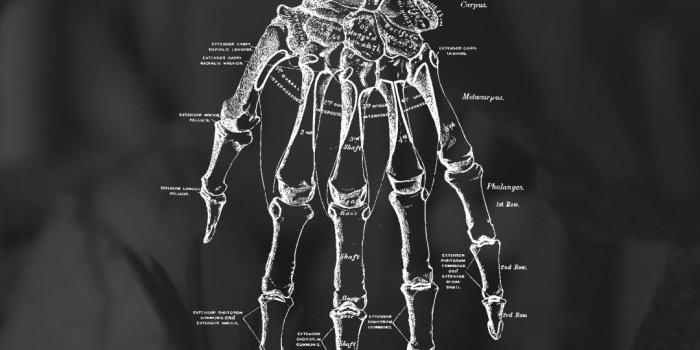 1080x1920 Neck Deep iPhone Wallpaper (70+ images)